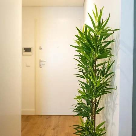 The Beautiful Ones Appartement Oporto