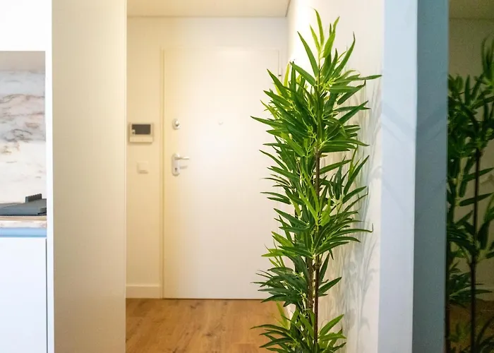 The Beautiful Ones Appartement Porto